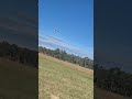 Learned to fly this Boomerang with OS40LA. Dad bought it 20 years ago. #rc #rcairplane #fyp