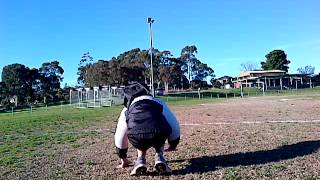 VID 20110928 00001