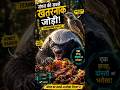 Honey Badger Aur Bird Ki Dangerous Team 😱🐝 #facts #sciencefacts #animals
