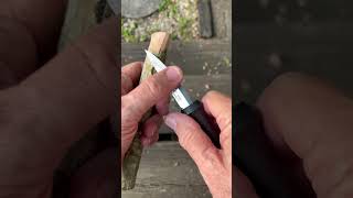 Mora Wood Carving Basic 4 28 2025 #jeffmcgovern #pestcoach #morakniv