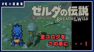 #5【ゼルダの伝説・breath of wild】全コログをこの手に・・・【竜の遊技場】
