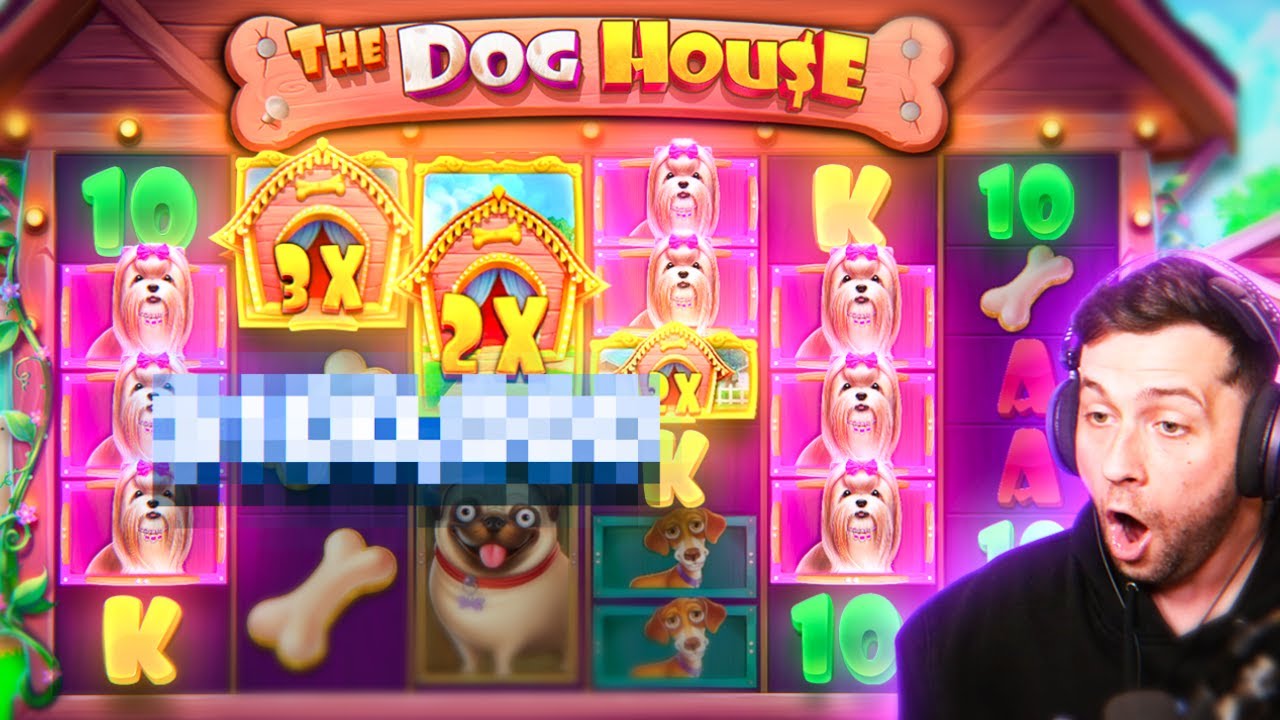 I SPIN INTO TWO MASSIVE BONUSES ON DOG HOUSE AND BOTH PAID!! (Bonus Buys)