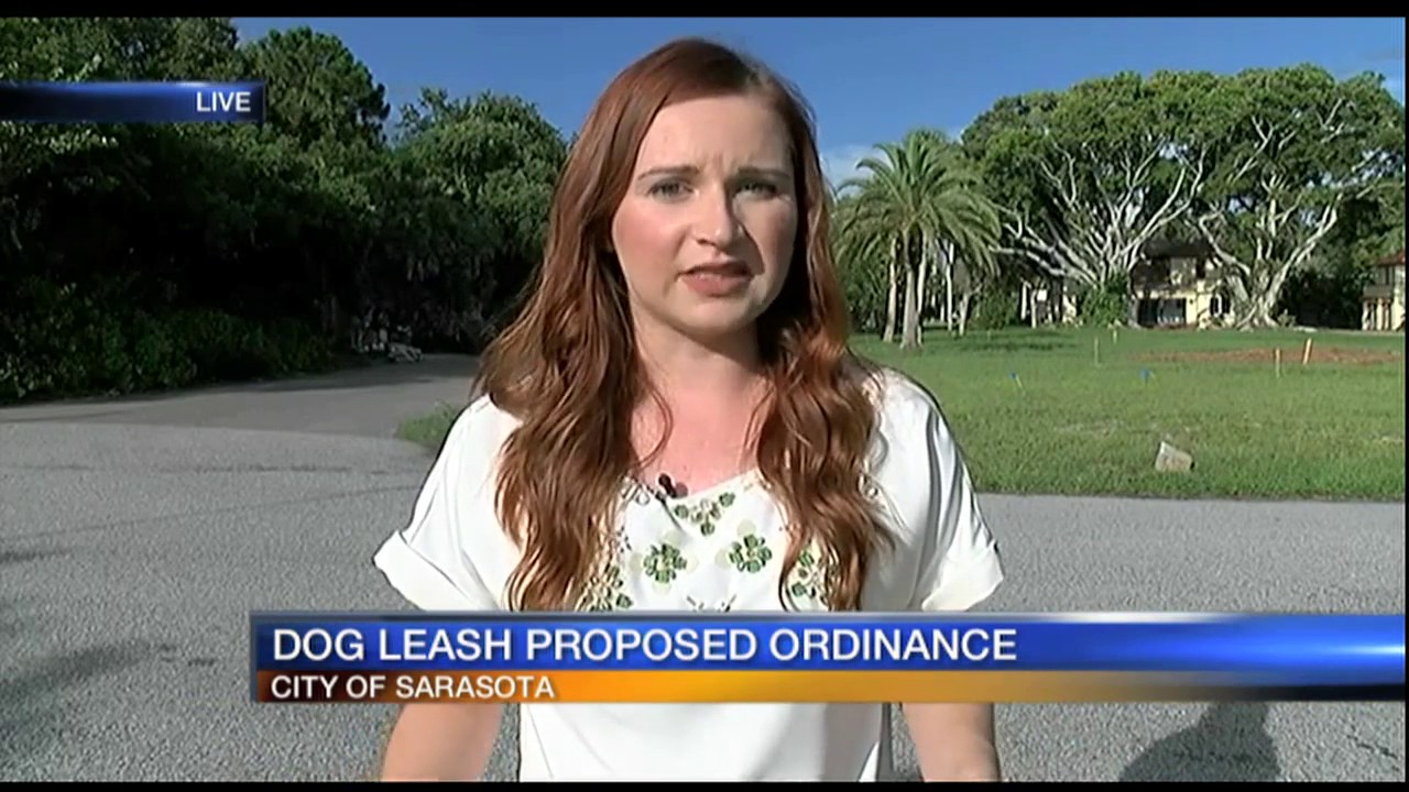 Dog Leash Proposed Ordinance YouTube