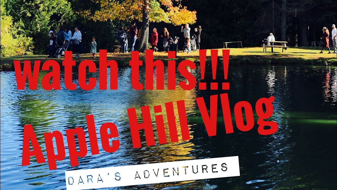 day trips from placerville ca