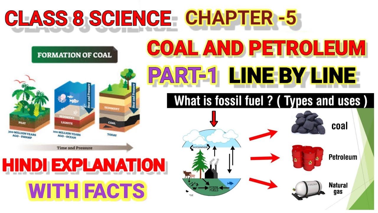 Class 8 Science Chapter 5 | Coal and Petroleum | Lecture 1 | Ignited ...