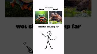 What’s the difference #difference #learn #stickmanart #shorts