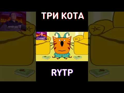 ЧТО МЫ ДЕЛАЕМ С ДРУЗЬЯМИ ДОМА: RYTP Три Кота