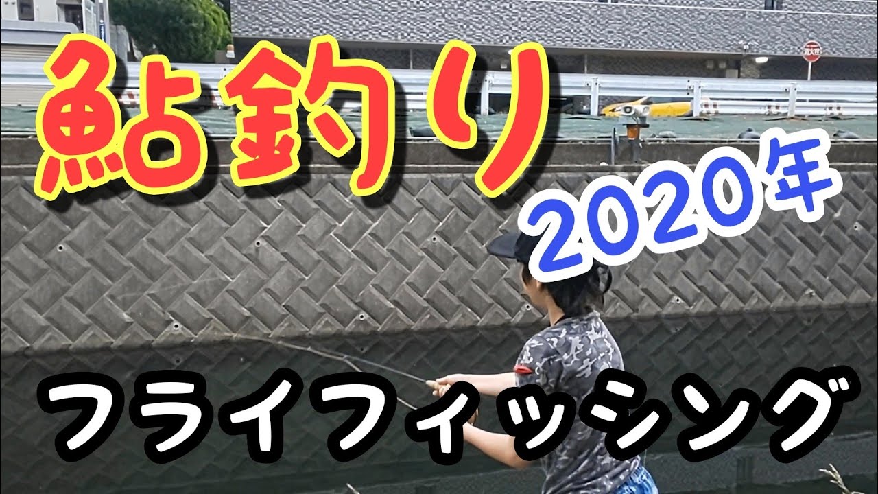 鮎 フライフィッシング 息子 が 初挑戦 Youtube