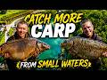 CATCH MORE CARP FROM SMALL WATERS | CARP RIGS AND CARP BAIT | DNA BAITS | LEE MORRIS | MARK BARTLETT