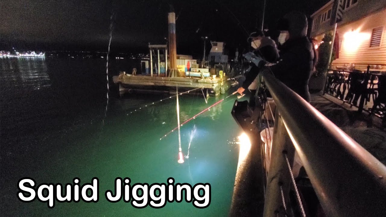 CATCHING SQUIDS AT SEATTLE WATERFRONT