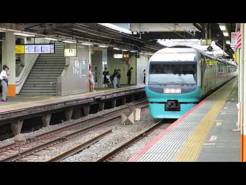251系特急スーパービュー踊り子 大船駅通過 Limited Express "Super View Odoriko"