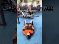 🔥 Dumbbell Chest Workout | No Machines | Pure Results 💪 #workouttips #fitnesstips #shorts