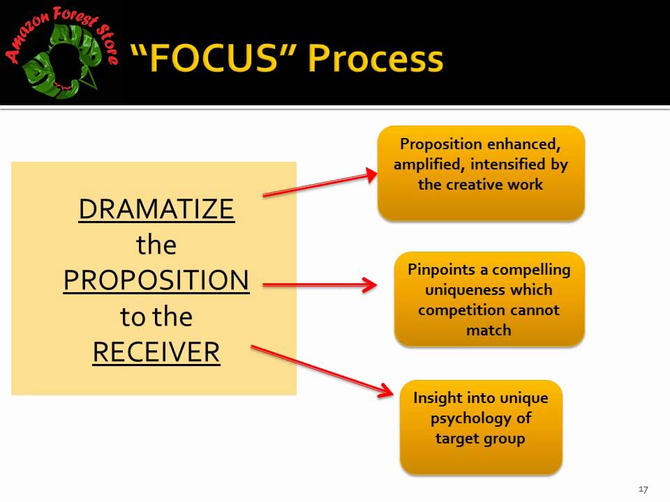 SMEAL MBA class marketing campaign for the Center for Amazon Community Ecology