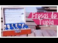 FRESA: um acessório da TUPIA que amamos e vamos te mostrar!