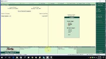 How to Create Single or Multiple Ledger in TALLY ERP
