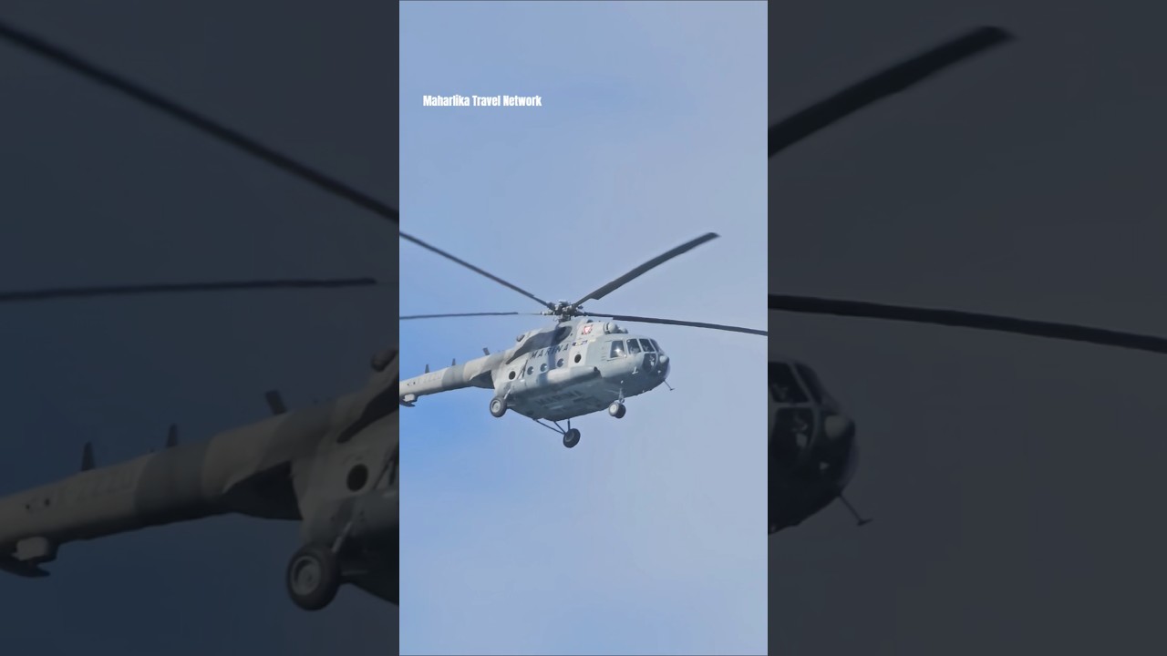 Military Helicopter & Seagulls Follow Our Disney Cruise | Epic Ocean Encounter