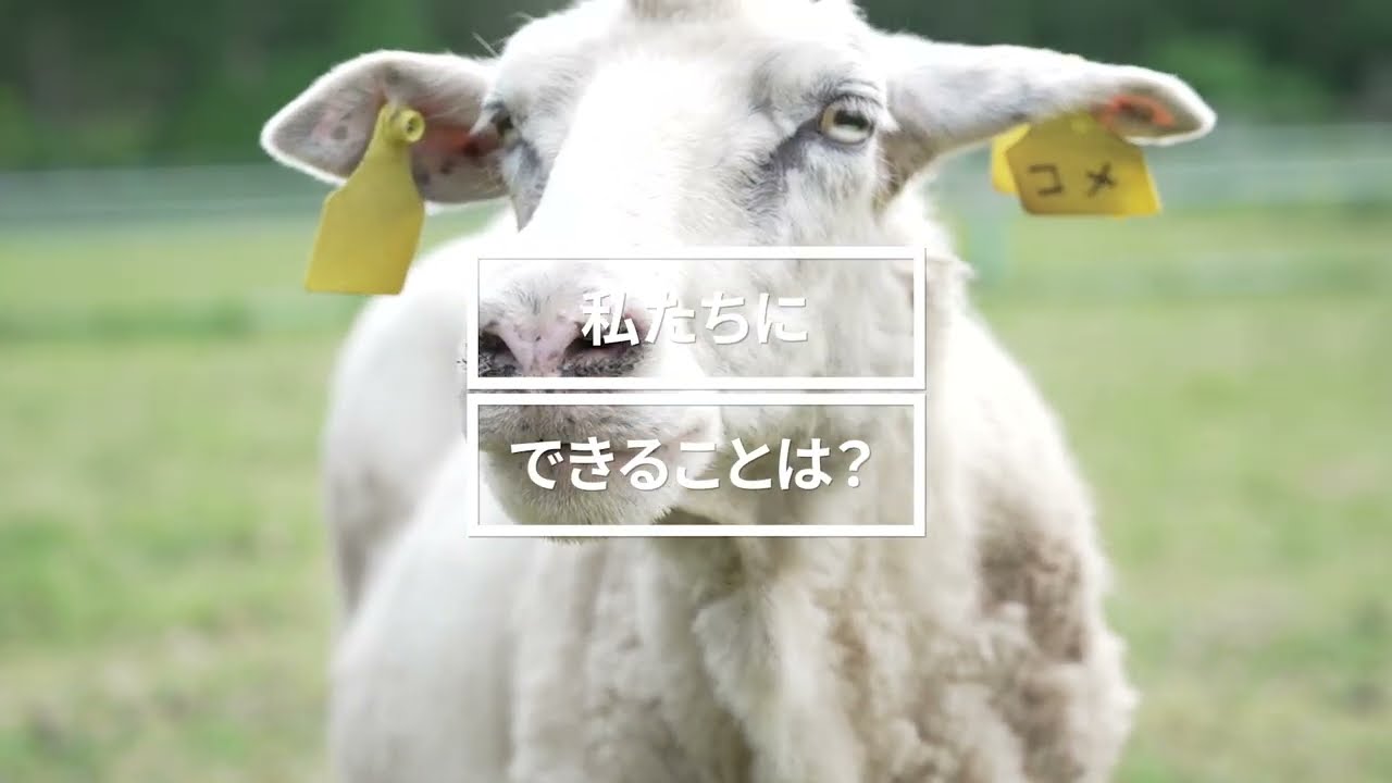 信州大学農学部コンセプトムービー