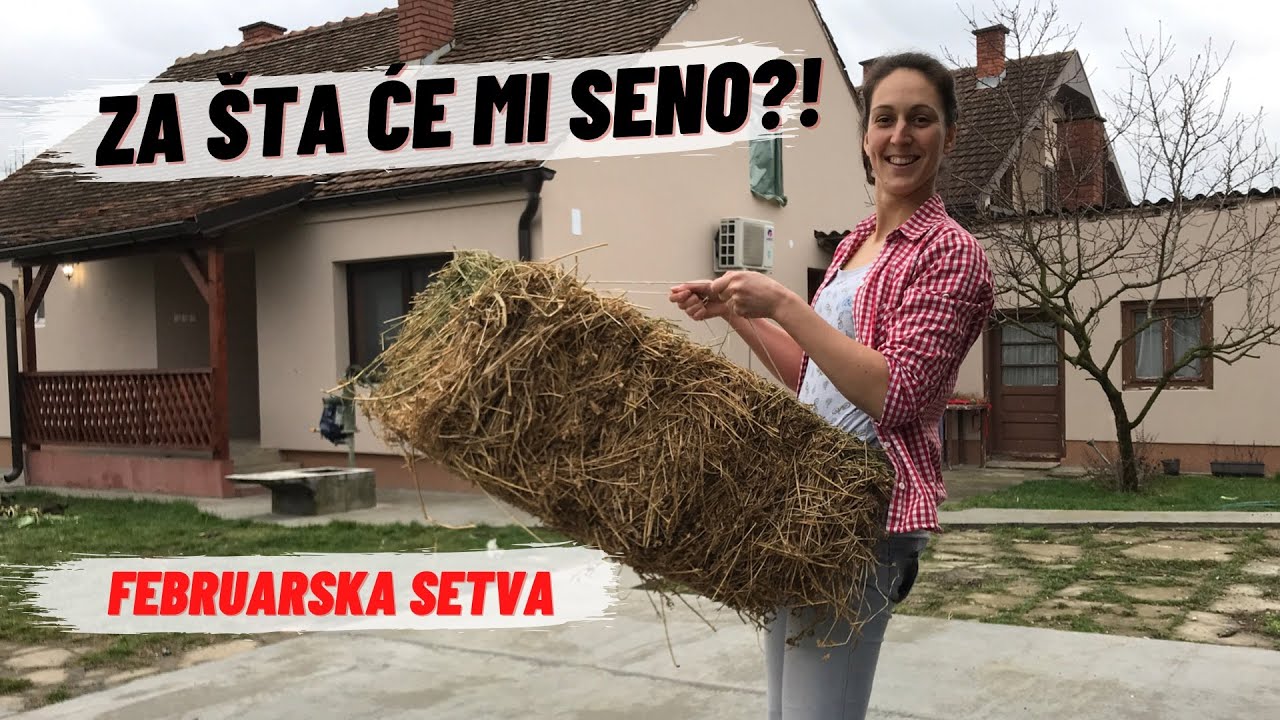 ŠTA SEJEM U FEBRUARU U BAŠTI? / Šta je to malčiranje? / * Dr Jovana Mašić