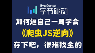 【精逆向爬虫强】爬虫逆向大师班：Python+JS逆向，一周精通，少走万里弯路！职场直通车，面试无忧！
