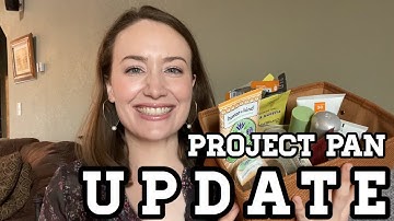 Project Pan Update 3 || #teamprojectpan2020