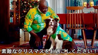 このお揃いのセーターはワンちゃんの動きによってデザインが決定！シーザードッグフード キャンペーンPR