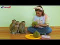 Smart Kako Luna Olly & Lisa Eating Durian Fruit