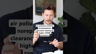 air pollution inhibits norepinephrine clearance leading to higher ADHD symptoms
