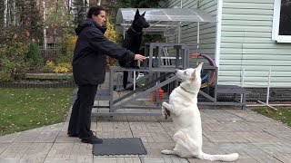 видео: ДТ-87. Правильная  картинка: ДТ-87. Правильная