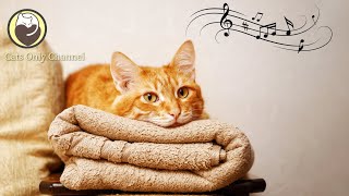 Music to Relax your Cat  Deep Soothing Music, Comfortable Sleep Music