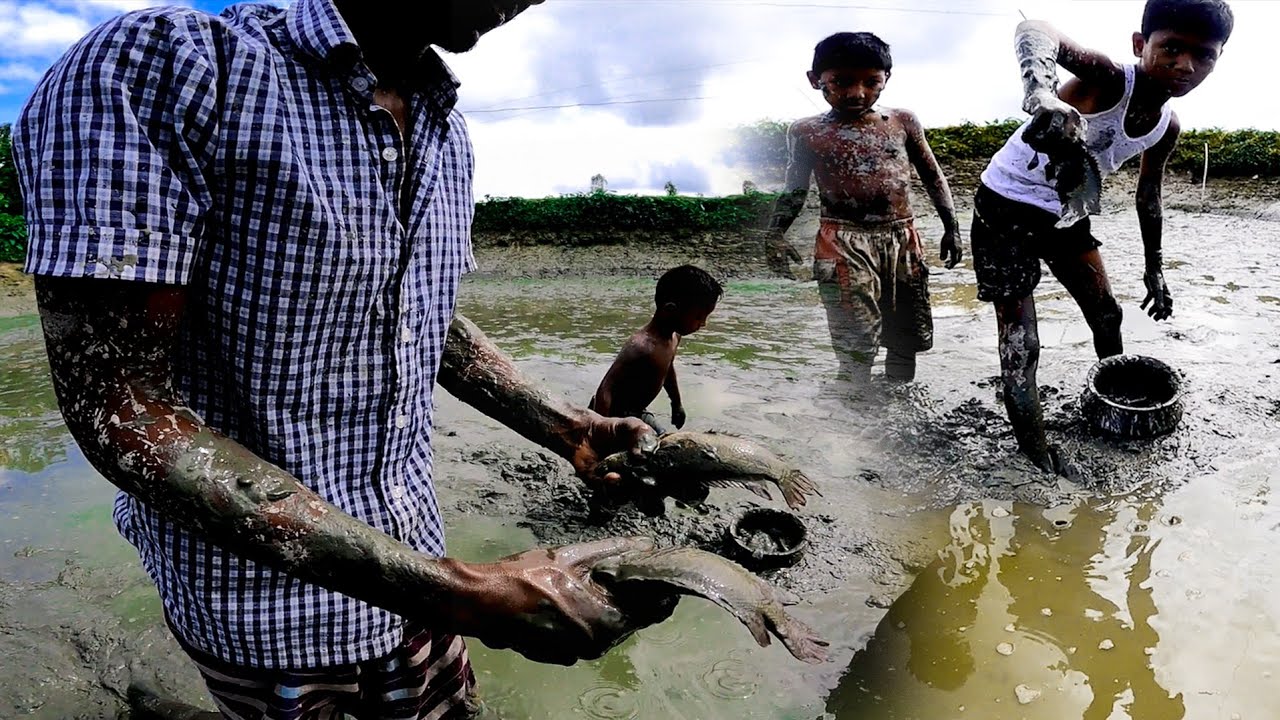 Amazing Boy Catching Big Catfish by Hand | Fishing In Mud Water | Best ...