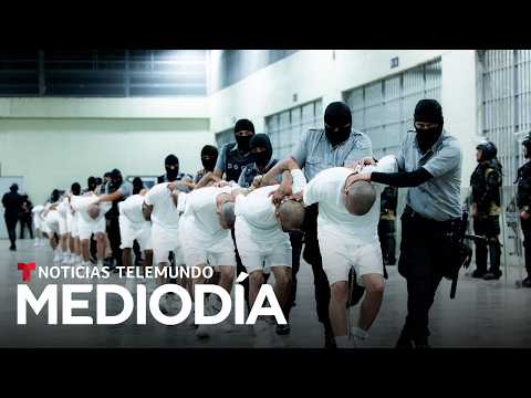 Bukele piensa liberar a casi la mitad de los detenidos del régimen de excepción | Noticias Telemundo