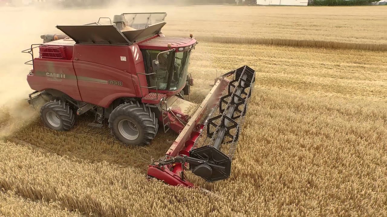 CASE IH 6130 - Agro Vodňany a.s.