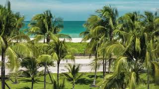 Luxury Weekend in Miami: A Solo Traveler's 4-Day Paradise Guide