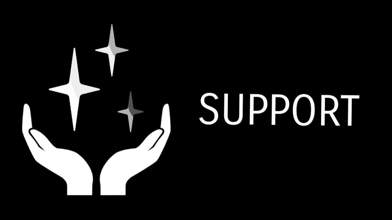 Dragon's Dogma Support Mage Build