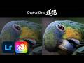 Adobe Creative Cloud最新情報【CC道場 #570】アドビ公式