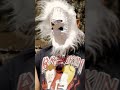 How Wolves Create The Impossible for David Choe