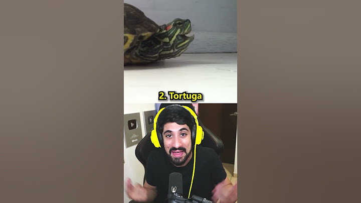 ASÍ ESTORNUDAN LOS ANIMALES 😳