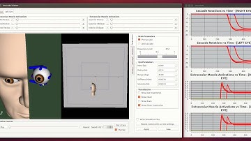 NoTremor - Coupled brain-biomechanical simulation of eye movements