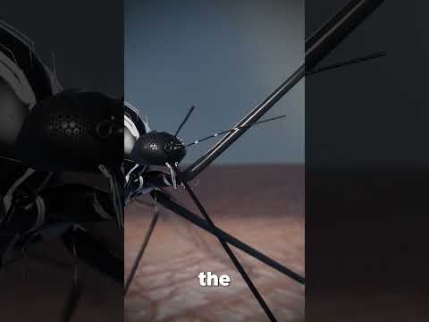 Vídeo: Mosquitos mordem humanos?