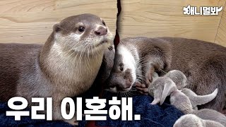 Loveydovey Otter Couple.. How Can Love Change…?