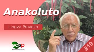 Lingva Provoko n-ro 19 (Anakoluto)