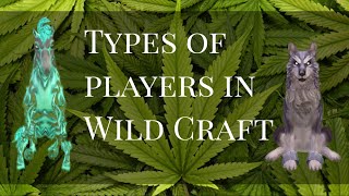 WildCraft типы игроков WildCraft типы игроков