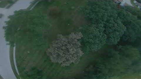 Good Venture Drones Keeping Me Alive!