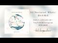 SG「Nocturnal Whale」語る生配信