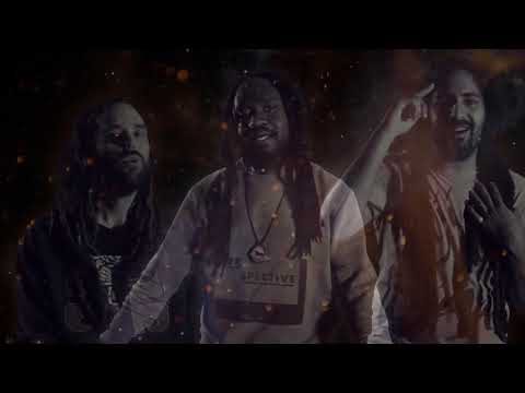 The Irie Lions - Credentialz