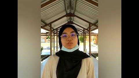 Phylum Porifera,Phylum Phaeophyta,and Phylum Basidiomycota (Kolej Matrikulasi Selangor)