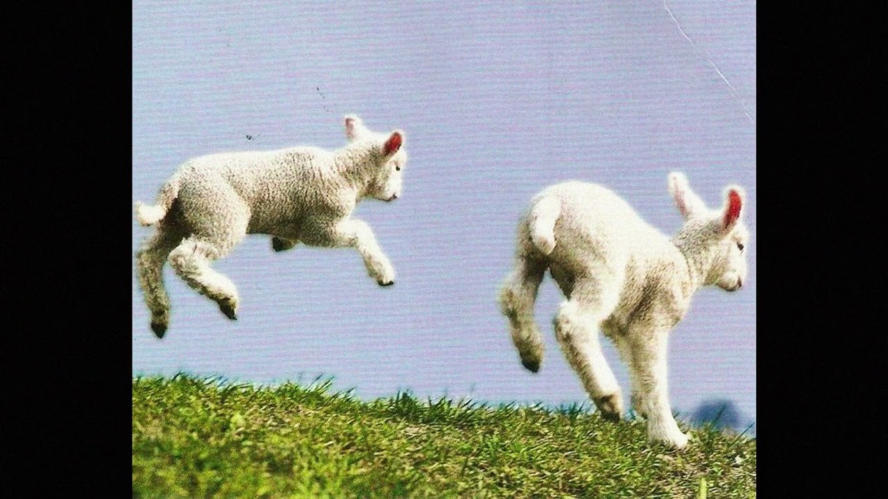 FRIENDLY THUG 52 NGG X СКРИПТОНИТ TYPE BEAT — GOAT LOVE