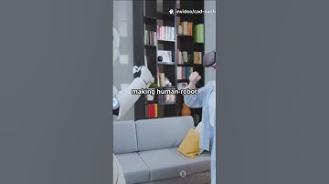 How Strong is Your Arm? FEM Reveals Bruise Tolerance in Human-Robot Collisions! #sciencefather