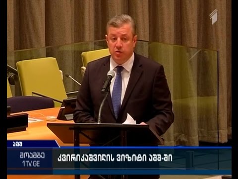 საქართველოს საგარეო საქმეთა მინისტრის გამოსვლა გაერო-ში