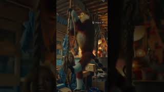 Monkeys are Bananas